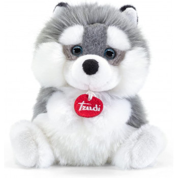 29047 - Fluffy Husky